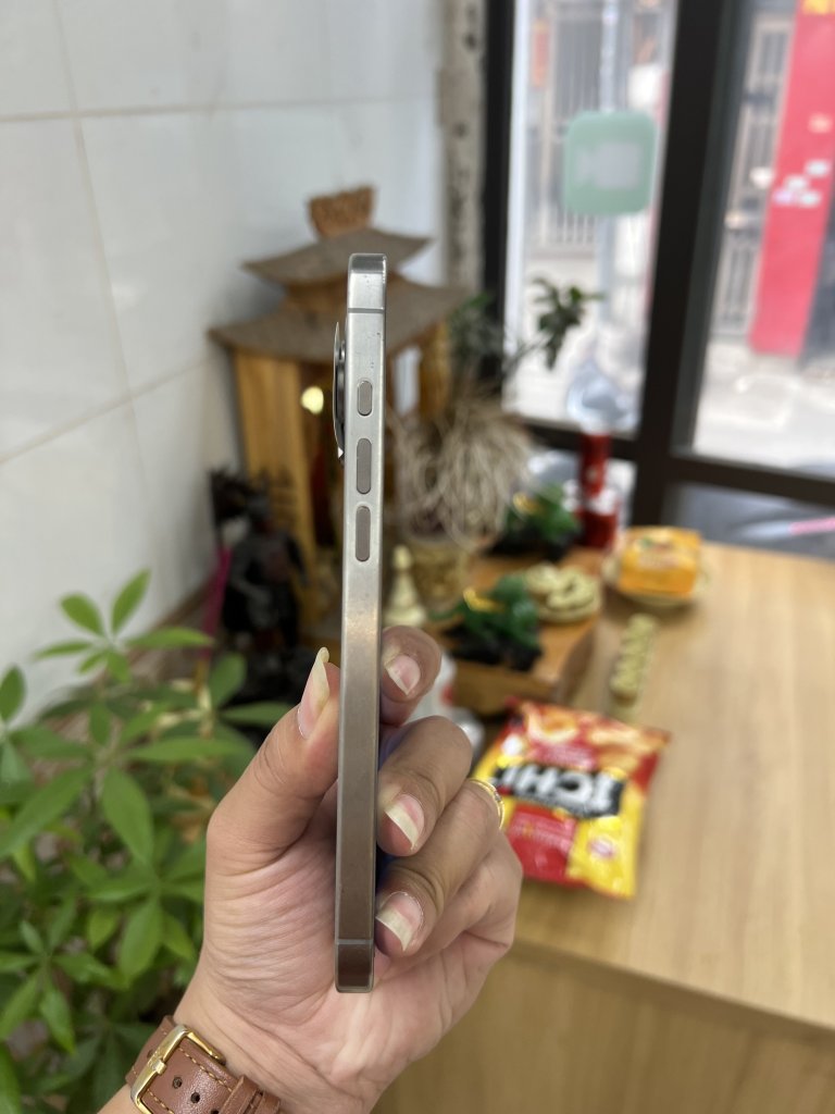 IMG_3470.jpeg