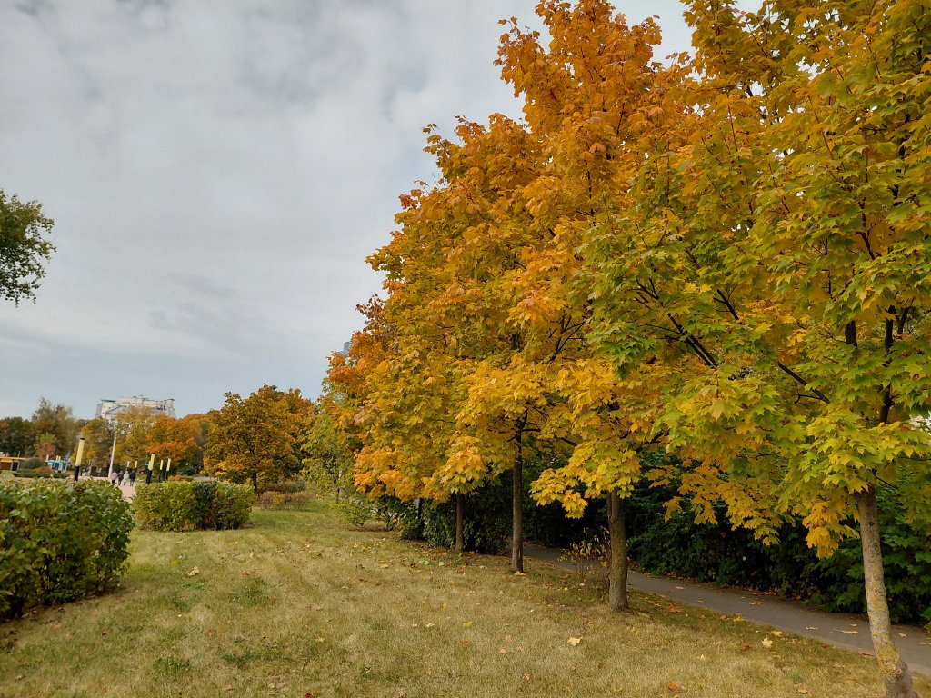 20251007_140430[1].jpg