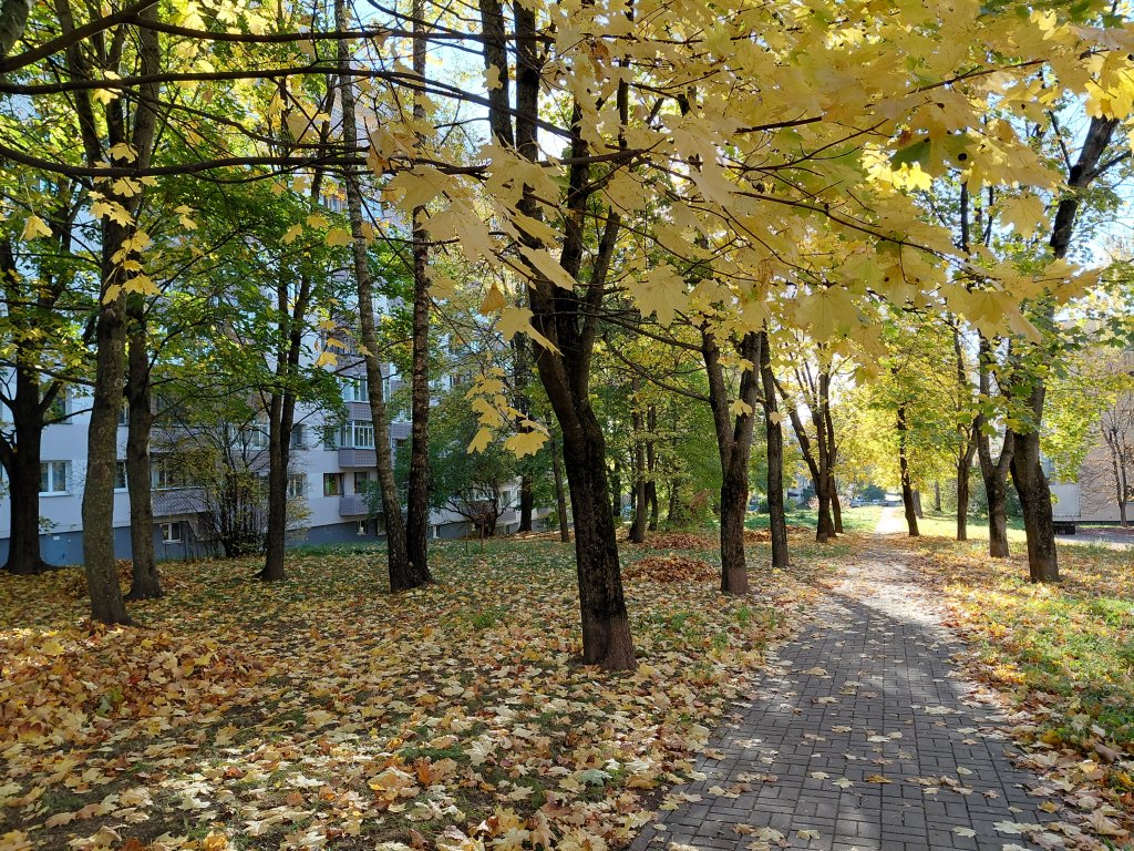 20261016_155345[1].jpg