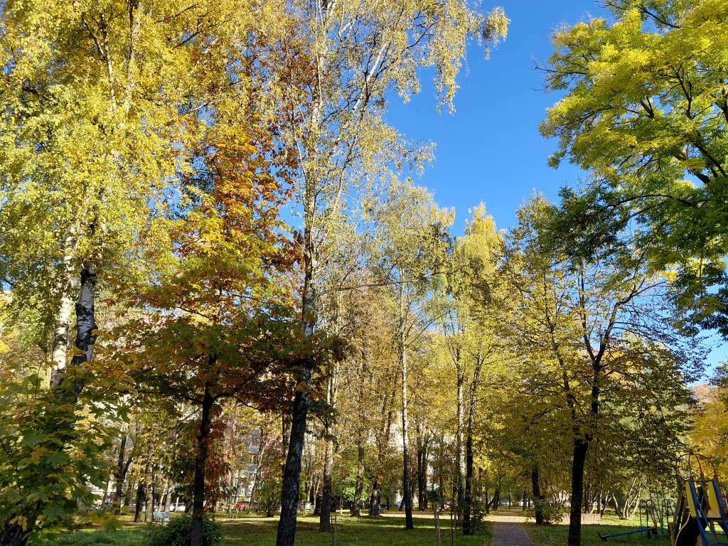 20261016_154652[1].jpg