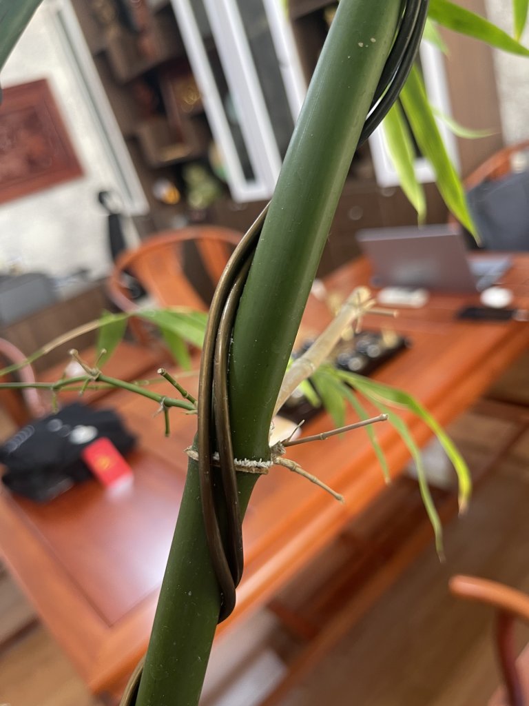 IMG_3663.jpeg