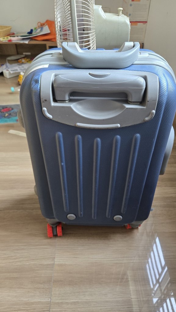 377.jpg