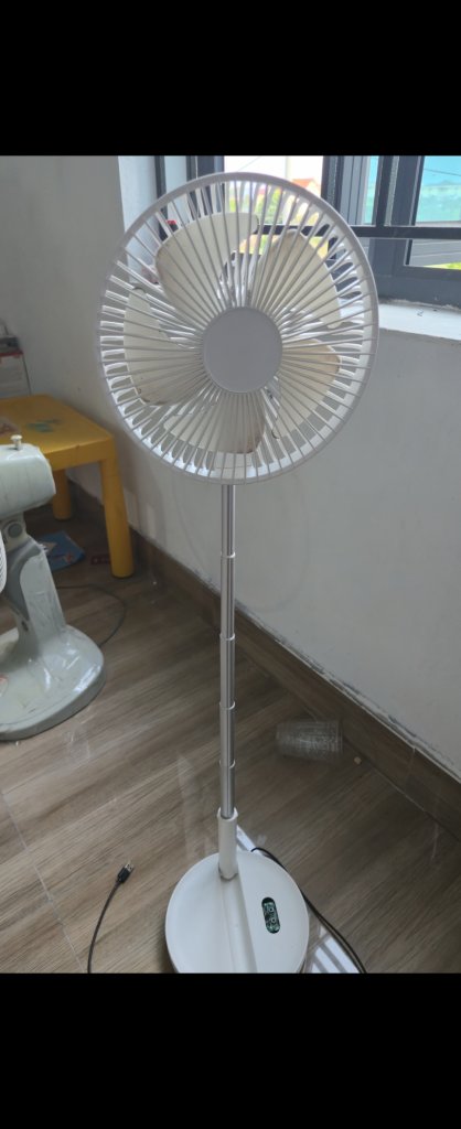 396.jpg