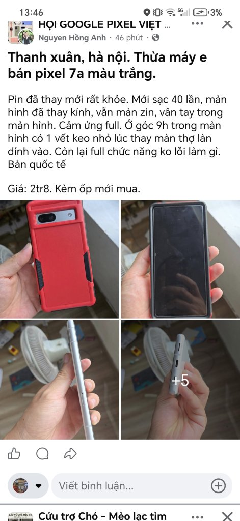 1000000159.jpg