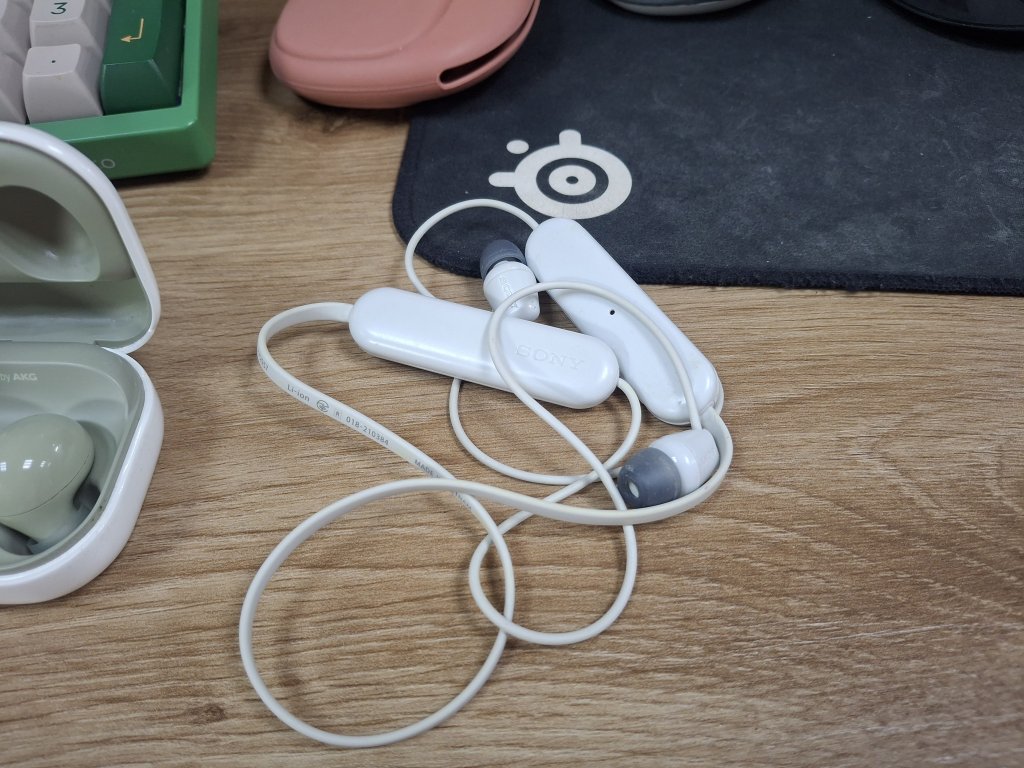 1000072144.jpg