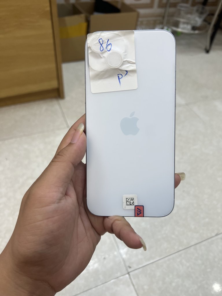 IMG_3765.jpeg