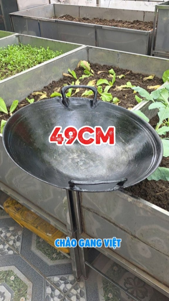 1000076575.jpg
