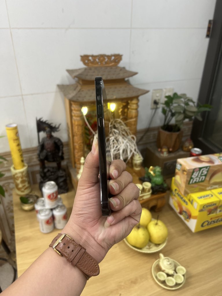 IMG_3827.jpeg