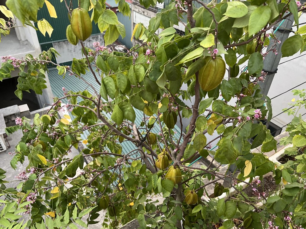 IMG_3164.jpeg