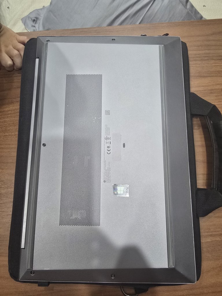 1031.jpg