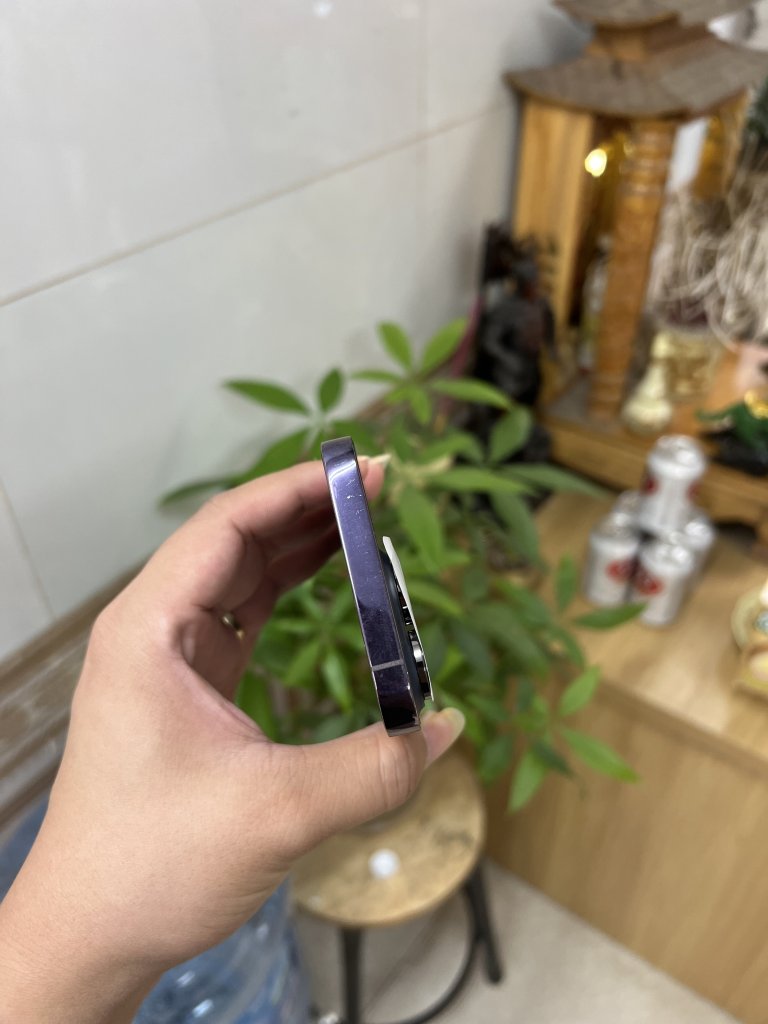 IMG_3669.jpeg