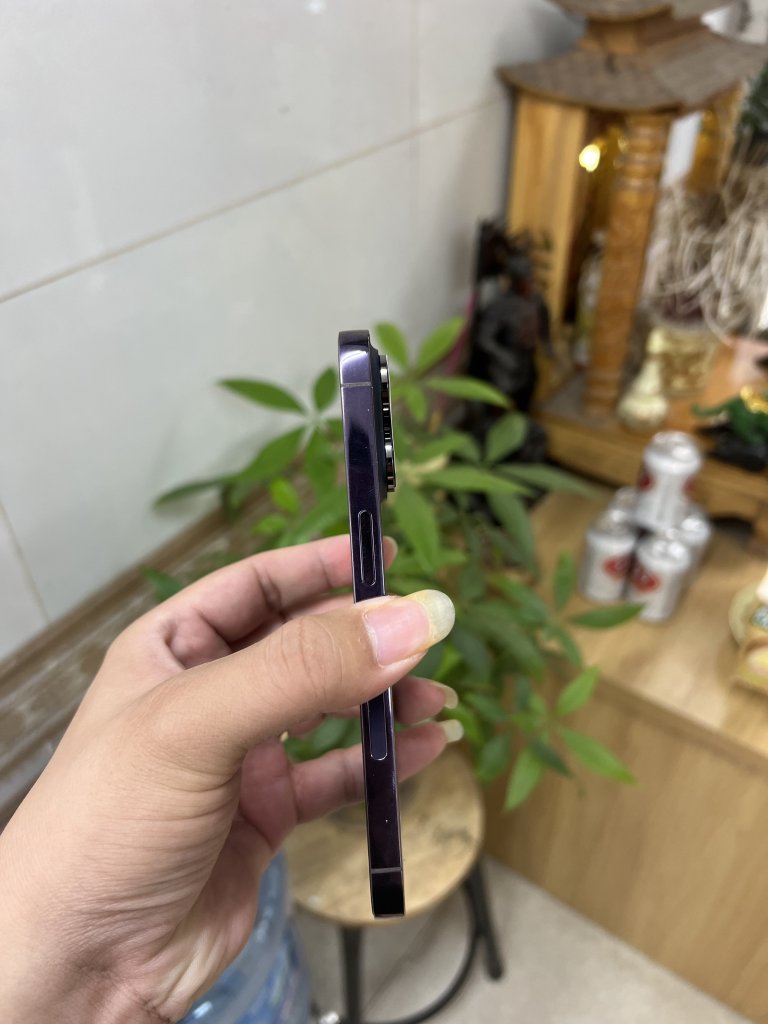 IMG_3668.jpeg