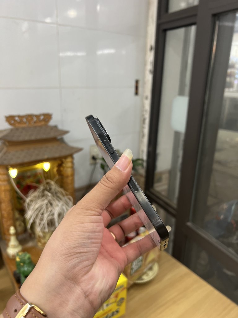 IMG_3972.jpeg