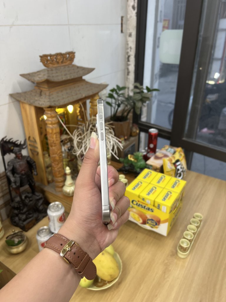 IMG_4030.jpeg