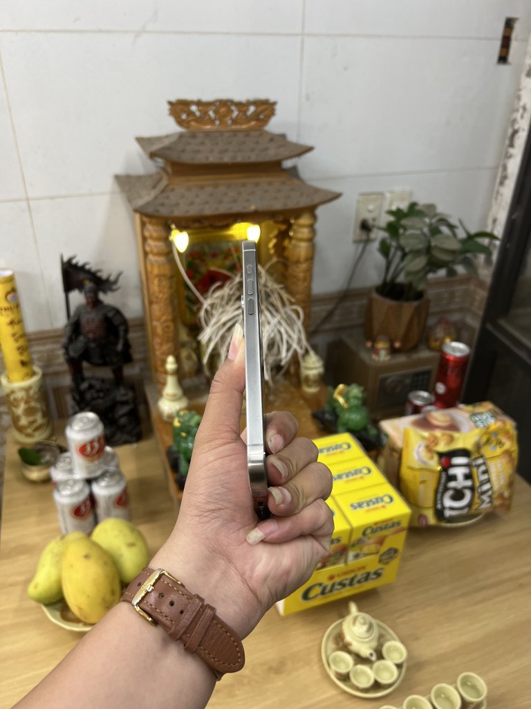 IMG_4071.jpeg