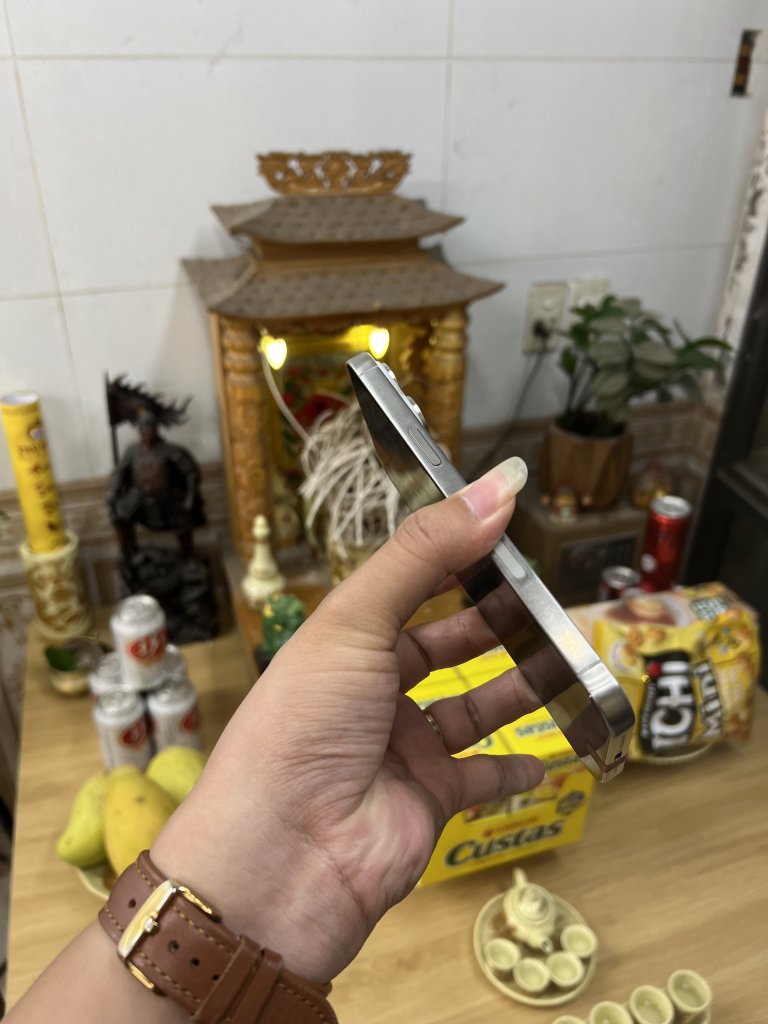 IMG_4072.jpeg