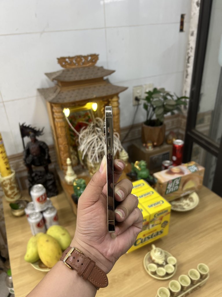 IMG_4098.jpeg