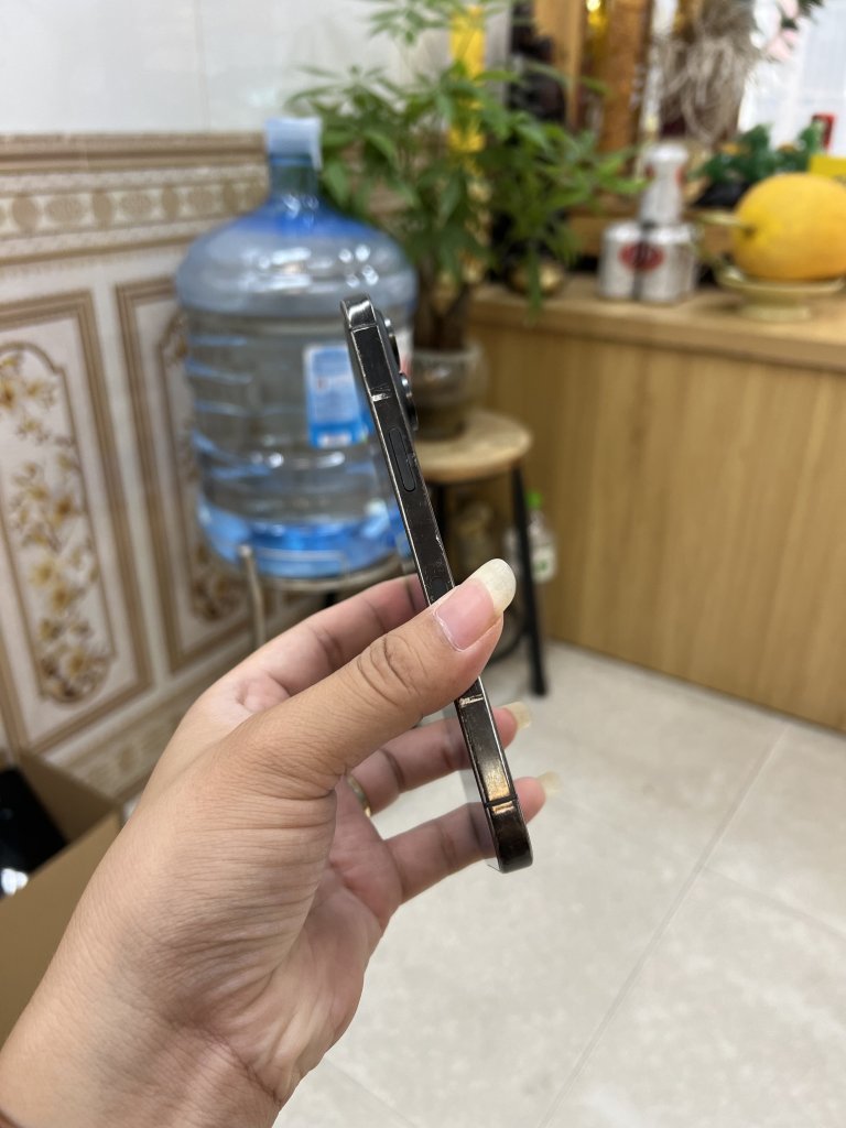 IMG_4151.jpeg