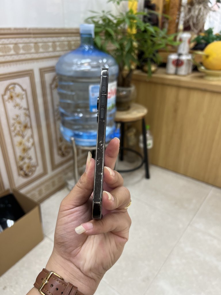 IMG_4150.jpeg
