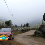 IMG_3251.jpeg