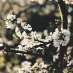 IMG_3281.jpeg