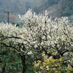 IMG_3282.jpeg