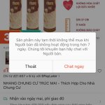 Nhang trúc mai 2.jpg