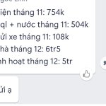 T11.jpg