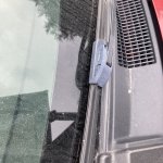 IMG_4280.jpeg