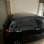 IMG_4634.jpeg