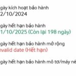 bảo hanh.jpg