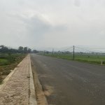 IMG_1916.jpeg