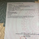 IMG_1924.jpeg
