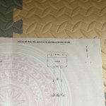 IMG_1923.jpeg