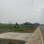 IMG_1922.jpeg