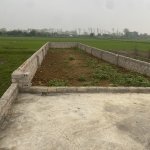 IMG_1919.jpeg