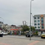 IMG_8507.jpeg
