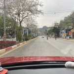 IMG_8510.jpeg