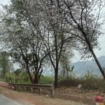 IMG_8513.jpeg