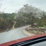 IMG_8516.jpeg