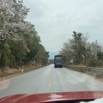 IMG_8514.jpeg