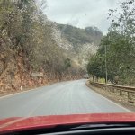 IMG_8517.jpeg
