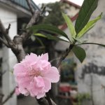 7D8E345D-521B-448C-9FB3-6E347F918F25.jpeg