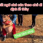 IMG_7817.jpeg