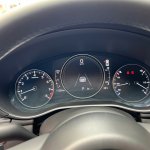 IMG_0199.jpeg