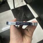 IMG_8101.jpeg