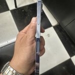 IMG_8103.jpeg