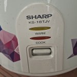 20250330_143717.jpg