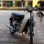 IMG_6722.jpeg