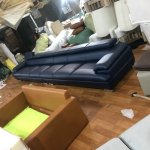 IMG_2426.jpeg